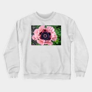 Poppy 1 Crewneck Sweatshirt